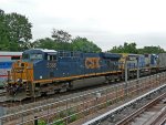 CSX Waste Train